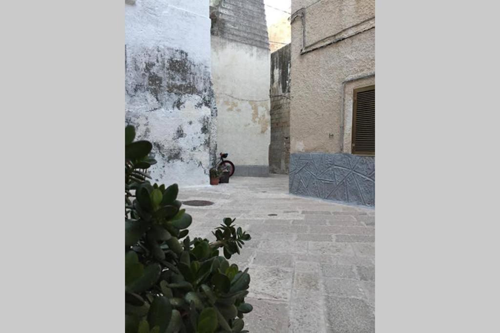 Historic Apartment In Centre Of City 100M To Sea Monopoli Exterior foto